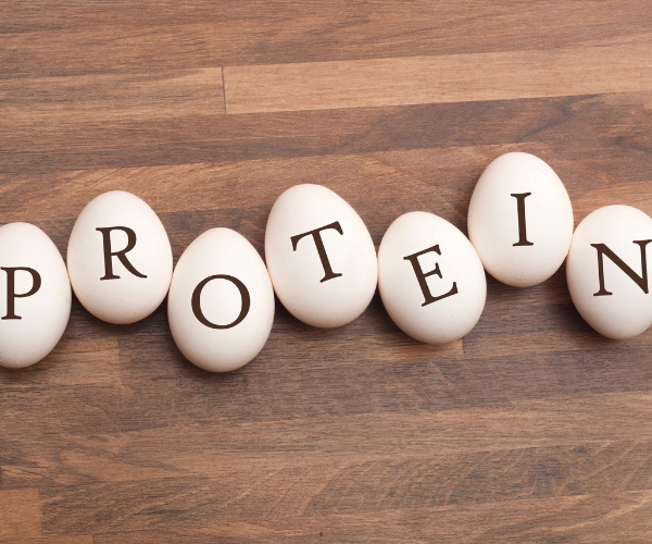 Alles over eiwitten!