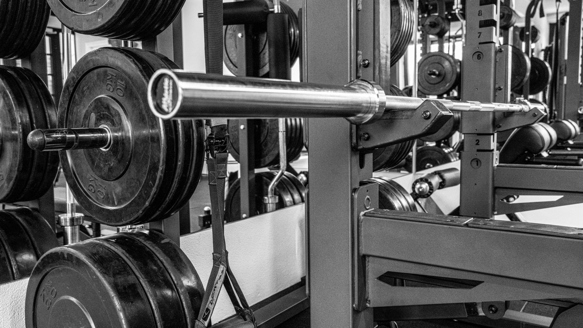 Squat rack privé gym Breda